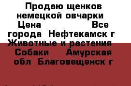 Продаю щенков немецкой овчарки › Цена ­ 5000-6000 - Все города, Нефтекамск г. Животные и растения » Собаки   . Амурская обл.,Благовещенск г.